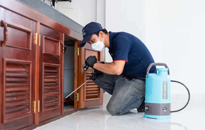 <span class=id-color>MC</span> Pest